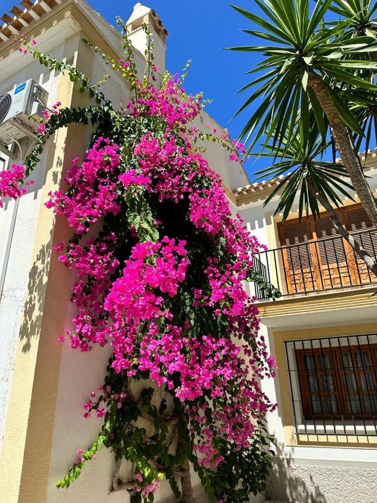 Casa Del Amanecer Vera Coast Apartment Playas de Vera